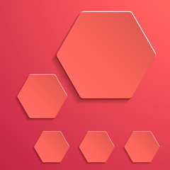 Original vector collage with hexagon paper plates in coral color.