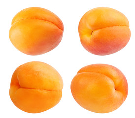 Fresh apricot isolated on white background with clipping path