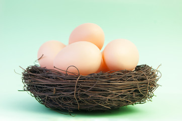 Beige eggs in the nest of branches on a green background