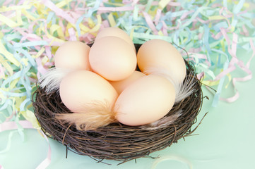 Beige eggs and feathers in a nest from branches on a green background with different pieces of paper