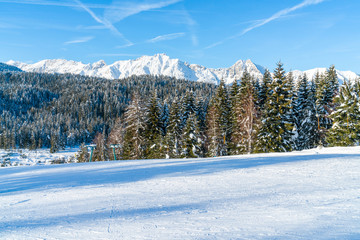 Fototapeta na wymiar Winter landscape with with snow covered Alps in Seefeld in the Austrian state of Tyrol. Winter in Austria