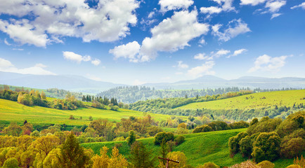 Fototapeta na wymiar Picturesque landscape in carpathians mountains Ukraine. Hills covered with green meadows with grass and forests trees. Blue sky with clouds. Summer panorama.