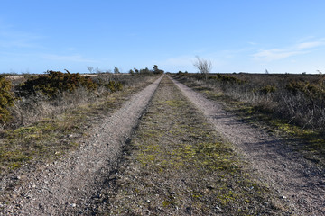 Fototapeta premium Beautiful country road in a low perspective image