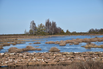 Flooden landscape by springtime