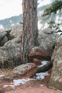 NCAR Trail Head