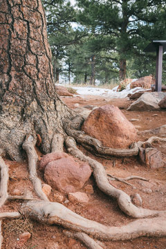 NCAR Trail Head