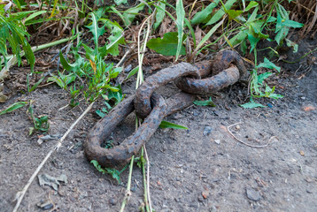 Ship chain in the old road