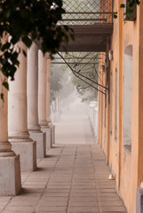 Classical building entrance in the city smog