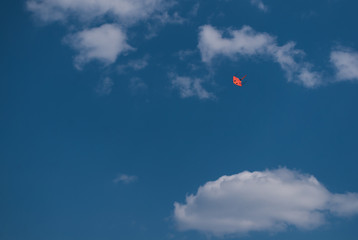 Kite in the blue sky