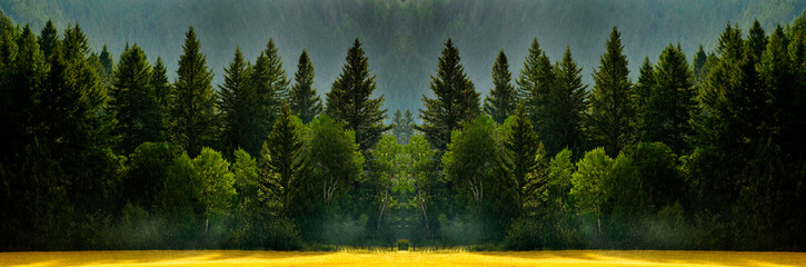 Forest Rain Storm with Drops Falling and Lush Trees - obrazy, fototapety, plakaty