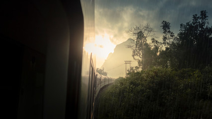 Vietnam Jungle Train