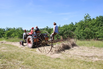Heuernte auf dem Land
