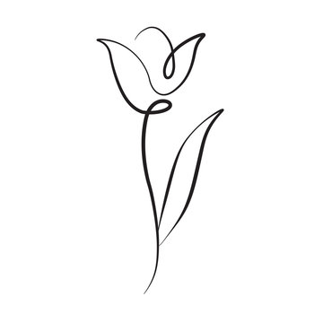 tulip flower line vector 