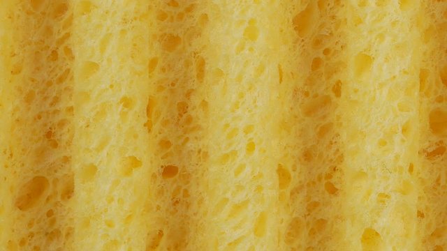 Yellow sponge detail texture
