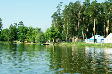 Pine forest by the water.