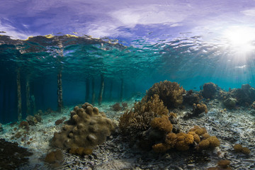 360 of pier from underwater