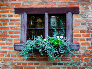Fototapeta na wymiar Vintage window with flowers and shutters in Lithuania