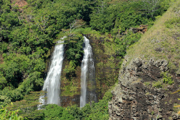 Fototapeta premium Opaekaa Falls Kauai Hawaii