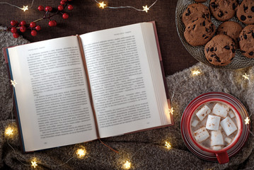 Cozy winter theme with book and hot chocolate - 250299367