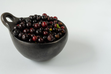 Berries of Vaccinium meridionale in bowl on white background. Space to write.