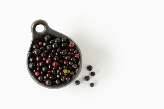 Berries of agraz in bowl on white background. Space to copy.