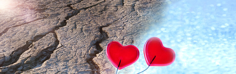 Fototapeta premium Dry earth, deep cracks, dead earth, environmental problem, catastrophe, heart, symbol. The concept of environmental protection. Selective focus, copy space.