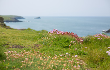 küste in newquay cornwall england