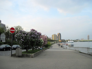 Fototapeta premium Cologne