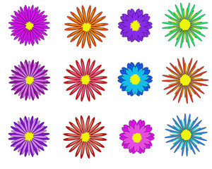 Flowers set - Illustration Flowers