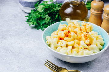 Mac and cheese, american style macaroni pasta with cheesy sauce