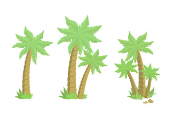 Beautiful palm tree for design. Palm trees isolated on white background, vector illustration set.