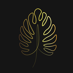 monstera palm line vector