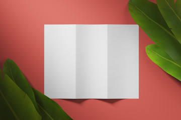 White sheet of paper, template for text with tropical colors on red background. Mock up. 3d rendering