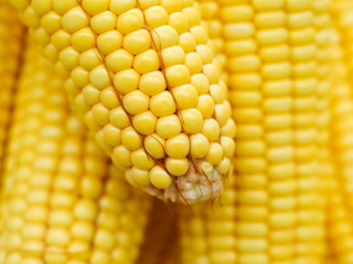 Sweetcorn macro photography