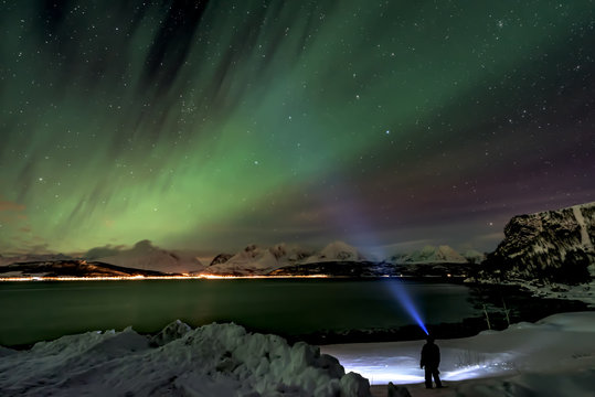 Amazing aurora borealis - northern lights - view from coast in Oldervik, near Tromso city -  north Norway