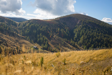 Fototapeta premium Alm in Südtirol Italien Meran 2000