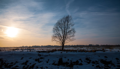 winter sunset