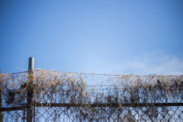 fence in winter