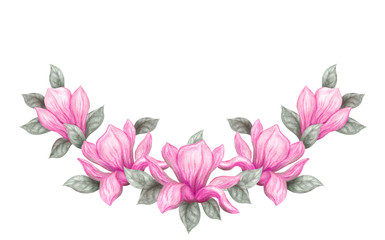 Obraz premium Hand drawn painting watercolor pencils and paints pink magnolia flowers isolated on white background