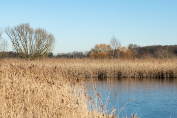 Rieselfelder Münster
