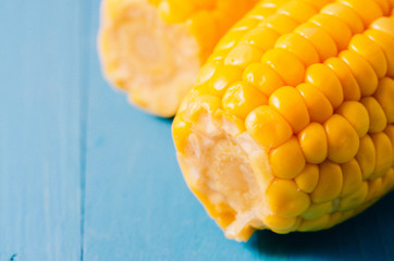 two ears of boiled appetizing corn on a blue background/Close up. Two ears of boiled appetizing...