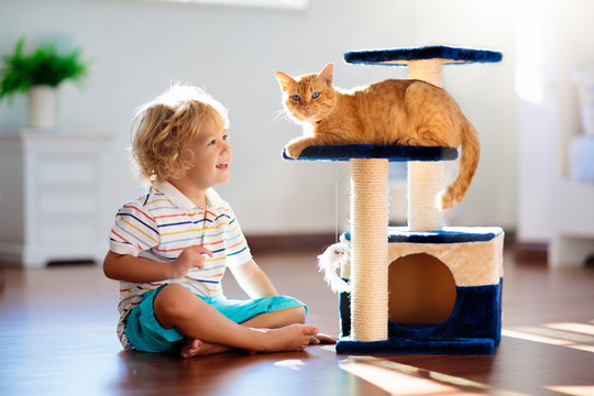 Child Playing With Cat At Home. Kids And Pets.