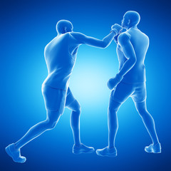 3d rendered medically accurate illustration of two boxing men