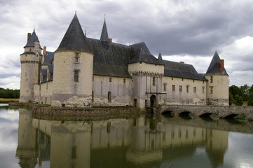 Fototapeta na wymiar Chateau de Plessis-Bourré