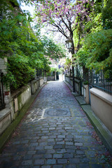 rue pavée et verdure à la butte aux cailles, Paris