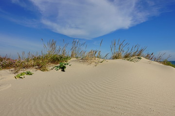 Fototapeta na wymiar sand dunes and blue sky