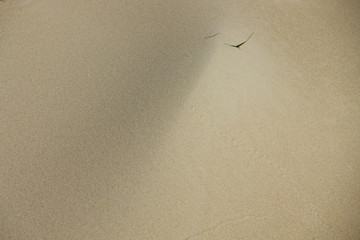 Sand.