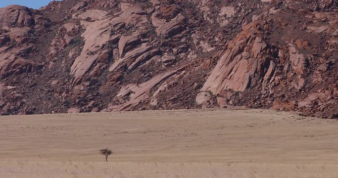 Beautiful early morning sun light landscape of Namib Naukluft desert region in Namibia