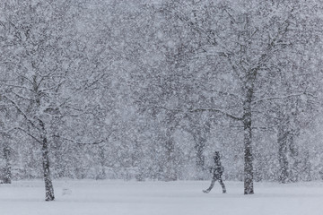 A person walks through a park during a snowfall