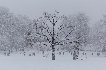 Fototapeta na wymiar Urban winter scene in heavy snowfall